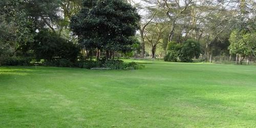 ניירובי Hibiscus Guest House מראה חיצוני תמונה